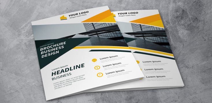 Card Cover Saddle Stitch Booklet Printing